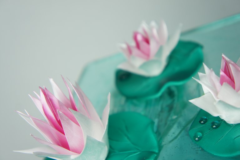 formations sucre soufflé